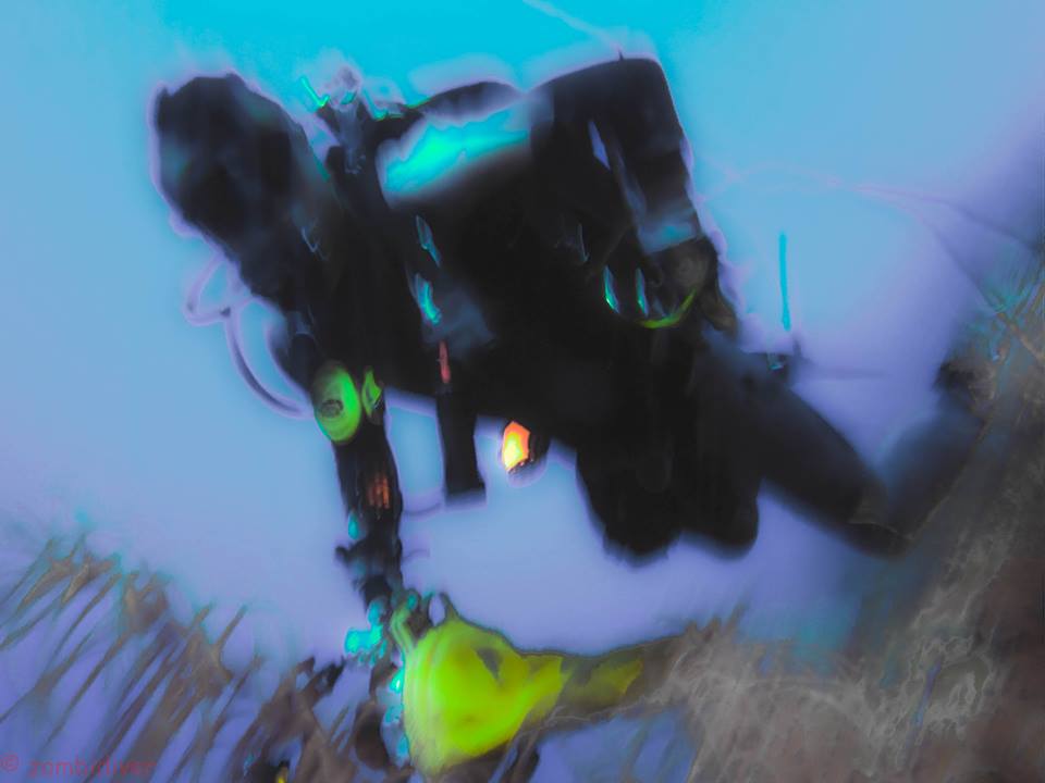 Diver Name