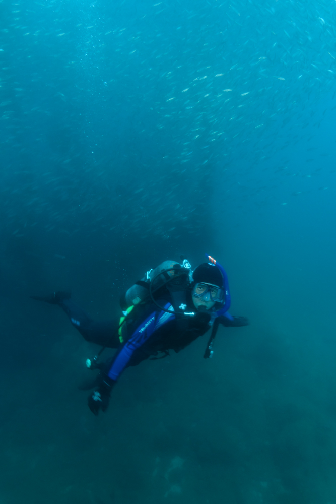 Diver Name