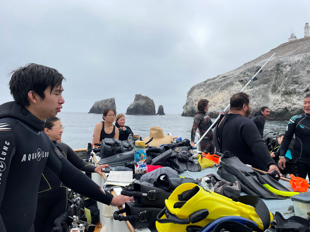 Diver Name