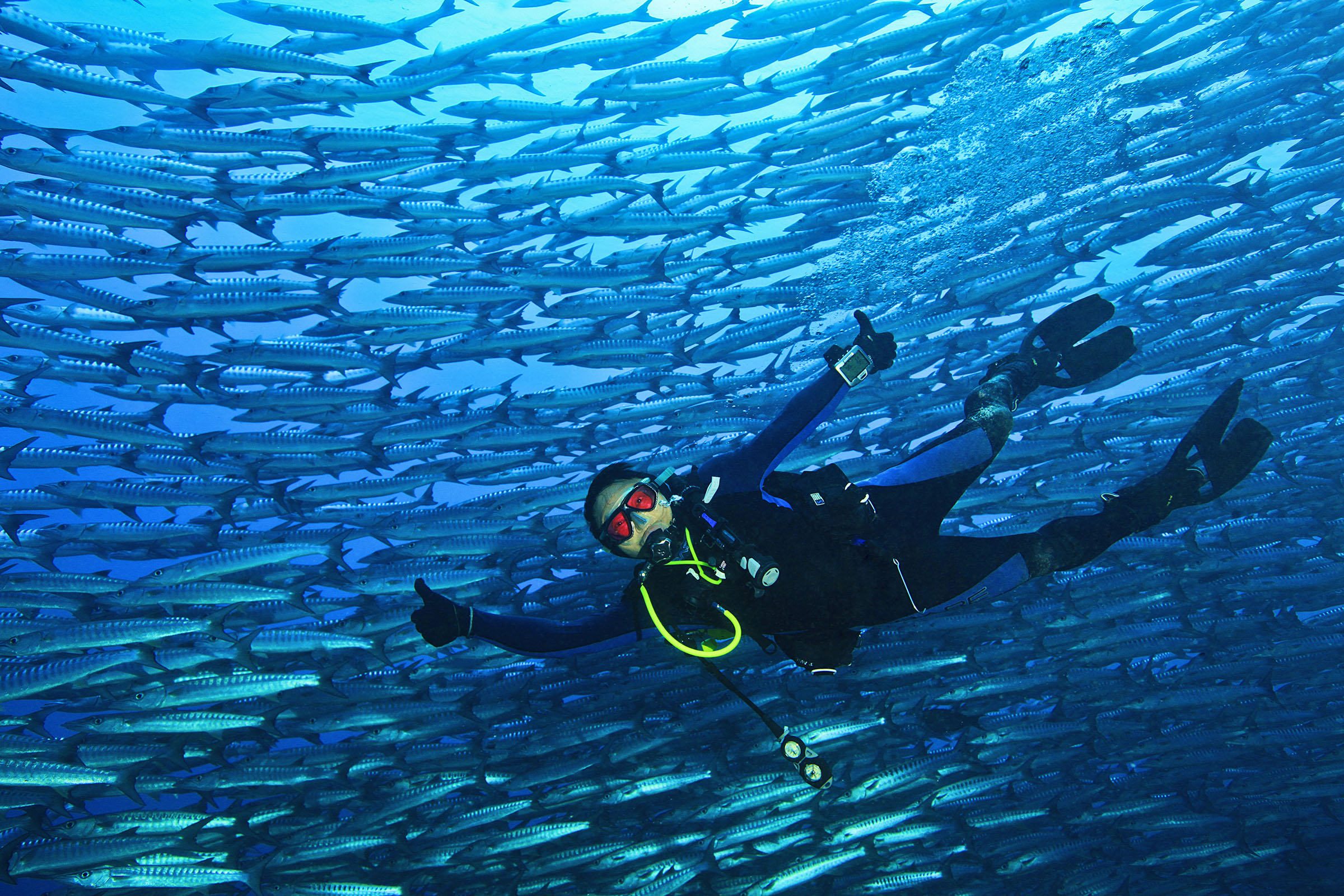 Diver Name