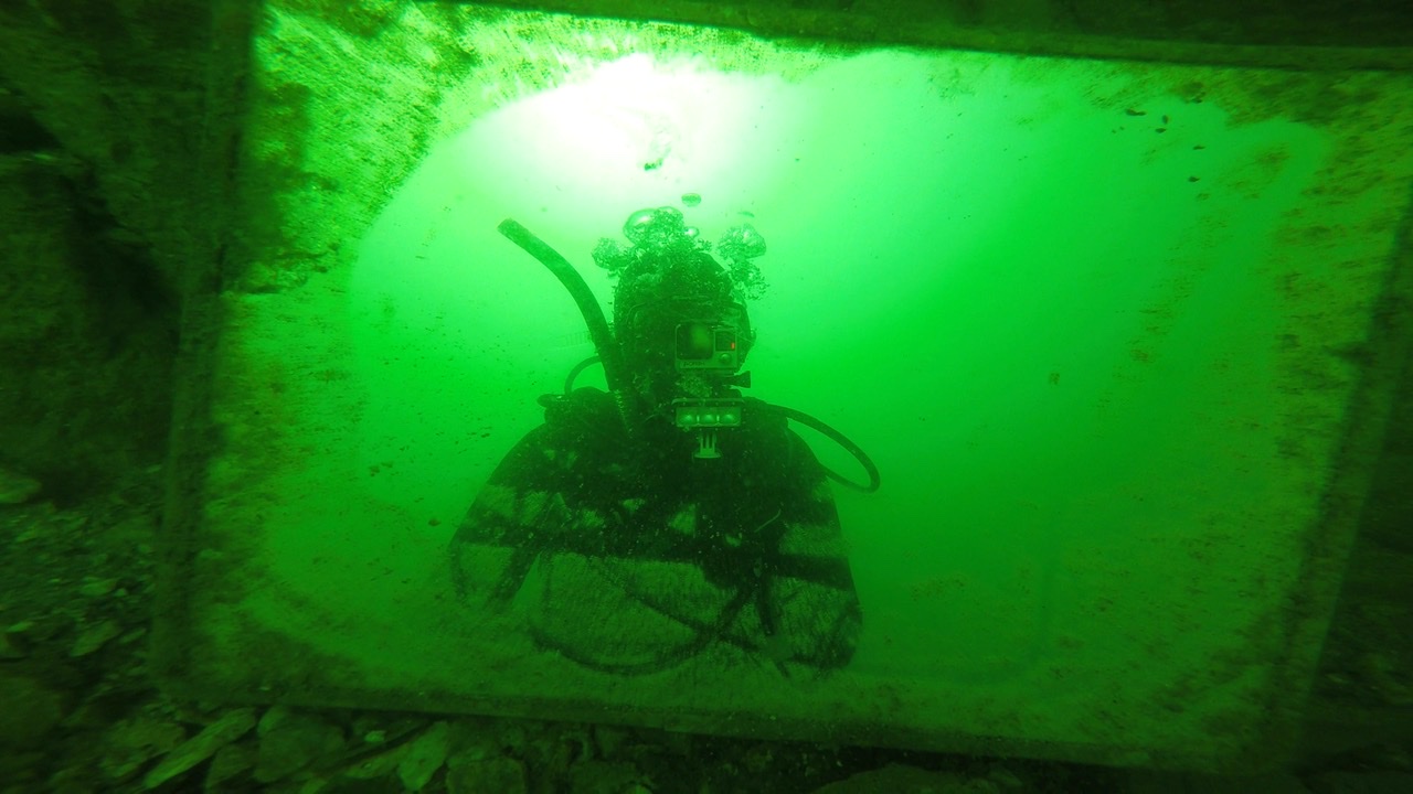 Diver Name