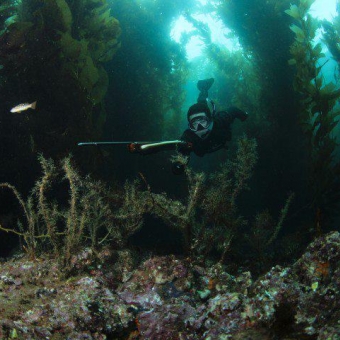 Diver Name