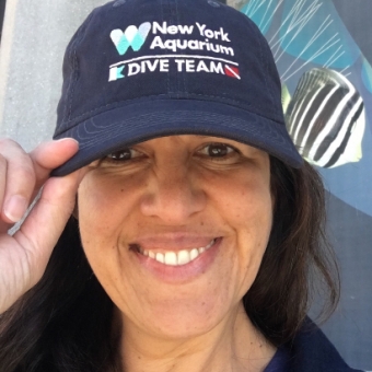 Diver Name