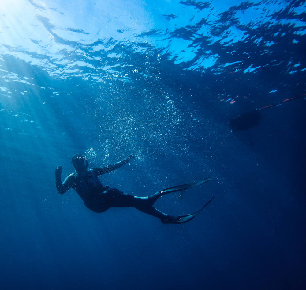 ocean safari diving adventures photos
