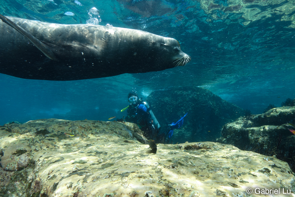 La Paz & Magdalena Bay Expedition 2025